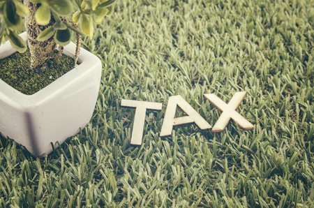 financial concept, wooden alphabet and form word TAX on green artificial grass. cropped image white pot. retro color toneの写真素材