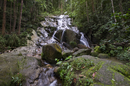 Amazing scenery of tropical waterfall flowing through the beautiful green forest