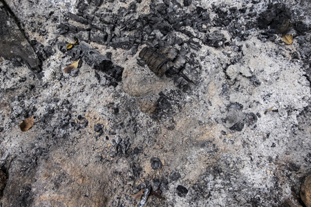 ashes and charcoal ideal for background and texture. selective focus shotの写真素材