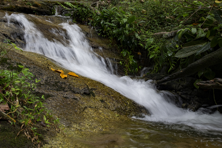 Beautiful scenery of cascaded river flowing through tropical rain forestの写真素材
