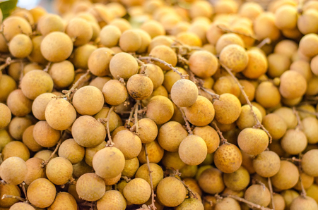 Fresh longan fruit on market stall in Malaysia. selective focus shotの写真素材