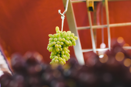 Bunch of grapes display at fresh market stall.selective focus shotの写真素材