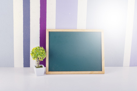 layout of chalkboard and plant in white pot on table with colorful wall backgroudの写真素材