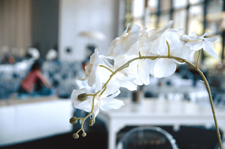 artificial orchid flower over contemporary banquet hall place for the amazing partyの写真素材