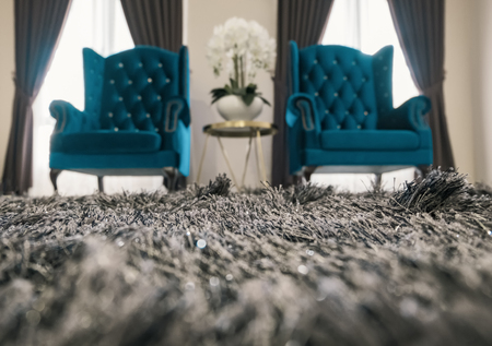 Pair of modern design sofas in living room for relaxingの写真素材