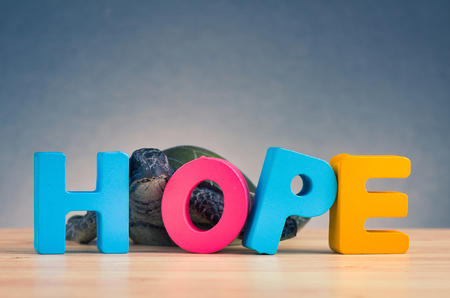HOPE word made from wooden letter on desk over gently lit dark backgroundの写真素材