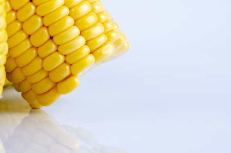 fresh raw sweet corn on the cob kernels over white backgroundの写真素材