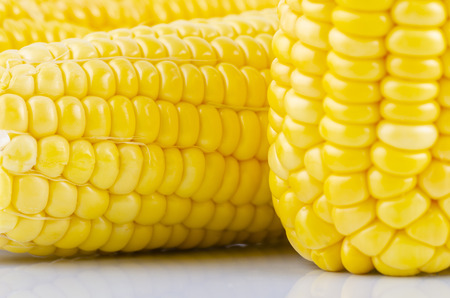 fresh raw sweet corn on the cob kernels over white backgroundの写真素材