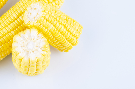 fresh raw sweet corn on the cob kernels over white backgroundの写真素材