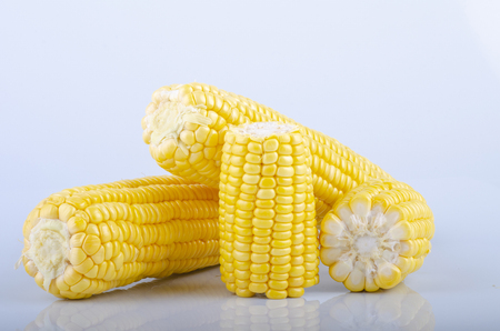 fresh raw sweet corn on the cob kernels over white backgroundの写真素材