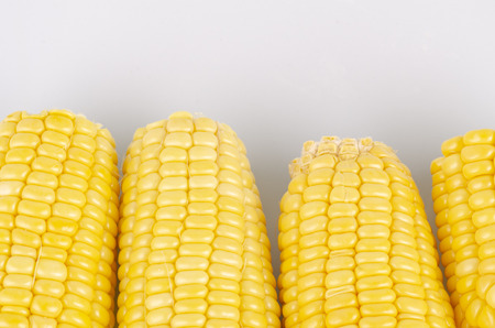fresh raw sweet corn on the cob kernels over white backgroundの写真素材