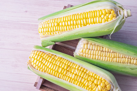 fresh raw sweet corn on the cob kernels over wooden backgroundの写真素材