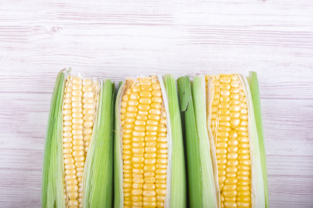 fresh raw sweet corn on the cob kernels over wooden backgroundの写真素材