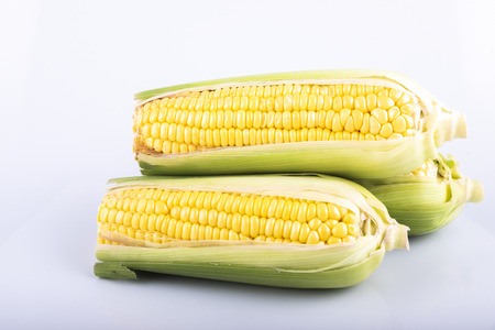 fresh raw sweet corn on the cob kernels over white backgroundの写真素材
