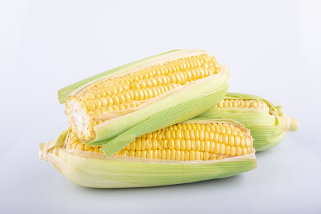 fresh raw sweet corn on the cob kernels over white backgroundの写真素材