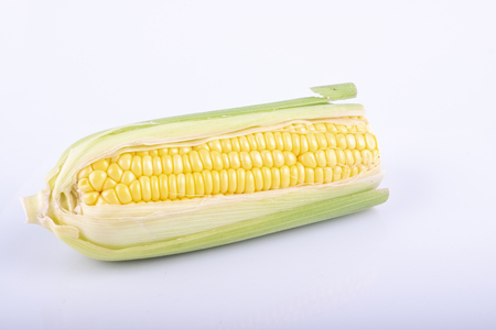 fresh raw sweet corn on the cob kernels over white backgroundの写真素材
