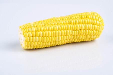 fresh raw sweet corn on the cob kernels over white backgroundの写真素材