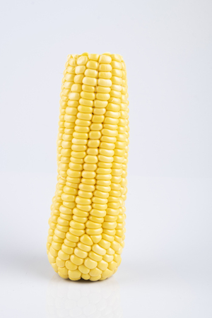 fresh raw sweet corn on the cob kernels over white backgroundの写真素材