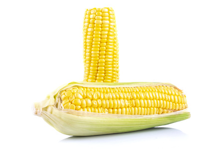 fresh raw sweet corn on the cob kernels over white backgroundの写真素材