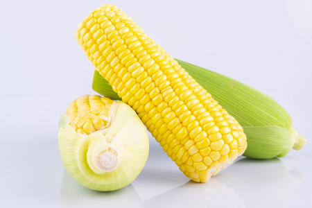 fresh raw sweet corn on the cob kernels over white backgroundの写真素材