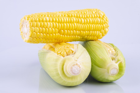 fresh raw sweet corn on the cob kernels over white backgroundの写真素材