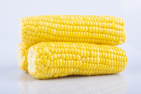 fresh raw sweet corn on the cob kernels over white backgroundの写真素材