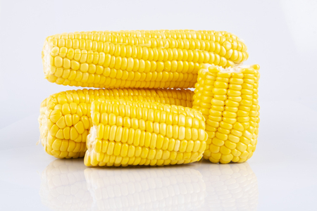 fresh raw sweet corn on the cob kernels over white backgroundの写真素材