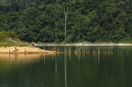 Beautiful image of rain-forest with reflection in water at Royal Belum State Park, Gerik Perak Malaysia.の写真素材