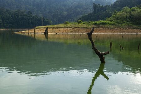 Beautiful image of rain-forest with reflection in water at Royal Belum State Park, Gerik Perak Malaysia.の写真素材