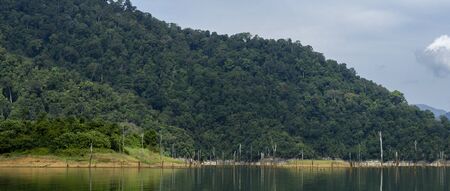 Beautiful image of rain-forest with reflection in water at Royal Belum State Park, Gerik Perak Malaysia.の写真素材