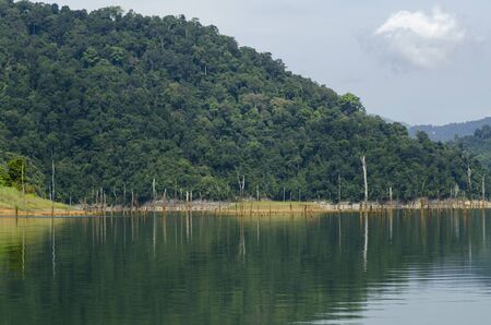 Beautiful image of rain-forest with reflection in water at Royal Belum State Park, Gerik Perak Malaysia.の写真素材