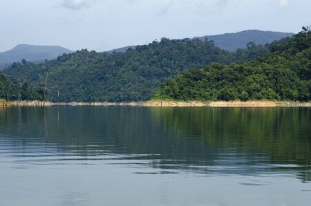 Beautiful image of rain-forest with reflection in water at Royal Belum State Park, Gerik Perak Malaysia.の写真素材