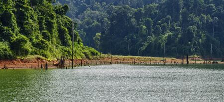 Beautiful image of rain-forest with reflection in water at Royal Belum State Park, Gerik Perak Malaysia.の写真素材