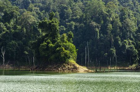 Beautiful image of rain-forest with reflection in water at Royal Belum State Park, Gerik Perak Malaysia.の写真素材