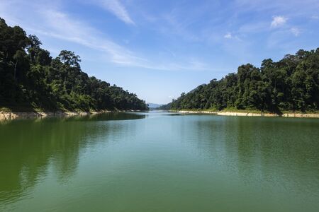 Beautiful image of rain-forest with reflection in water at Royal Belum State Park, Gerik Perak Malaysia.の写真素材