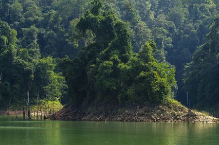 Beautiful image of rain-forest with reflection in water at Royal Belum State Park, Gerik Perak Malaysia.の写真素材