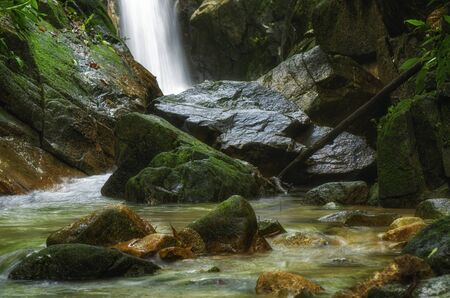 Tropical river stream flowing through mossy rock and green rain forestの写真素材