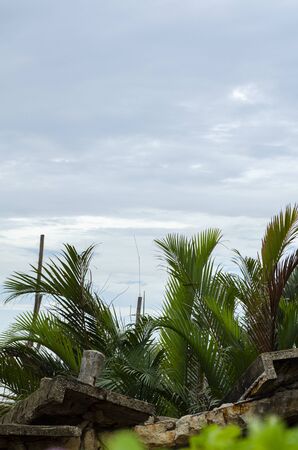 Beautiful rural scenery, abandon jetty or traditional fisherman dock over cloudy sky backgroundの写真素材