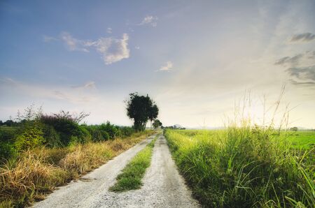 beautiful landscape view in traditional paddy field over sunrise background. Soft focus due to long exposure.の写真素材