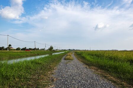 Rural area view surrounding with beautiful landscape of green paddy rice fieldの写真素材