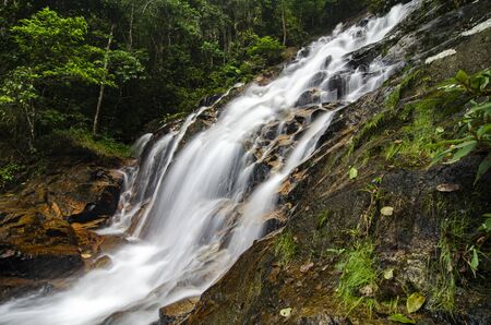 Beautiful tropical waterfall in lush surrounded by green forest.wet rock and moss.selective focus shot.の写真素材