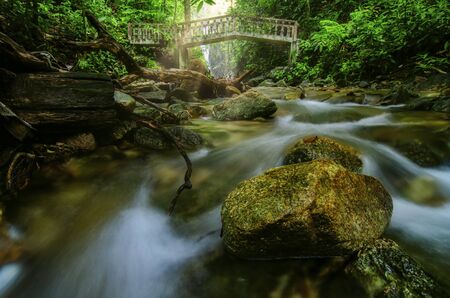 Beautiful tropical waterfall in lush surrounded by green forest.wet rock and moss.selective focus shot.の写真素材