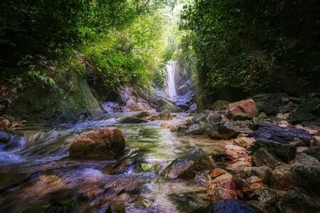 Beautiful tropical waterfall in lush surrounded by green forest.wet rock and moss.selective focus shot.の写真素材