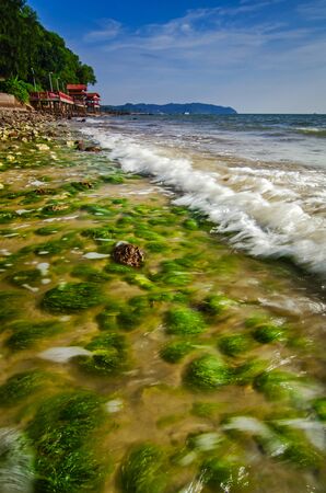 beautiful green algae on the stone at the beach during low tide water. sunlight and dark clouds. wave lapping and clear waterの写真素材