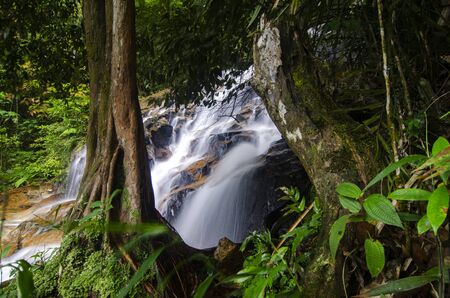 Beautiful tropical waterfall in lush surrounded by green forest.wet rock and moss.selective focus shot.の写真素材