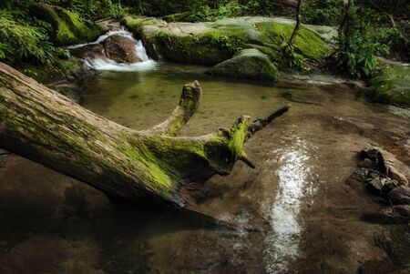 Beautiful tropical waterfall in lush surrounded by green forest.wet rock and moss.selective focus shot.の写真素材
