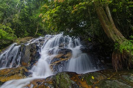 Beautiful tropical waterfall in lush surrounded by green forest.wet rock and moss.selective focus shot.の写真素材