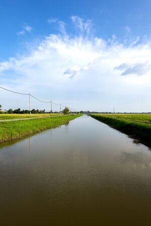 Rural area view surrounding with beautiful landscape of green paddy rice fieldの写真素材