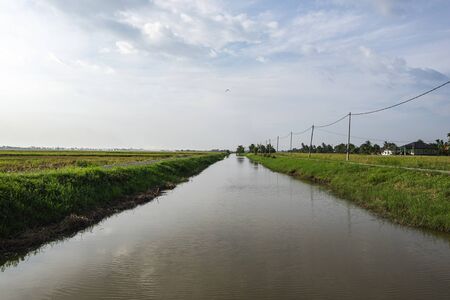 Rural area view surrounding with beautiful landscape of green paddy rice fieldの写真素材