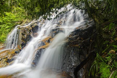 Beautiful tropical waterfall in lush surrounded by green forest.wet rock and moss.selective focus shot.の写真素材